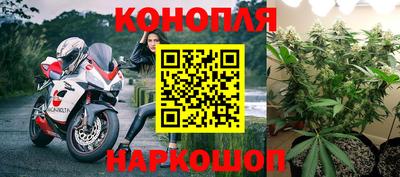 хмурый Будённовск