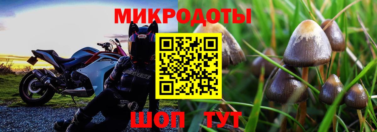 Псилоцибиновые грибы Cubensis  Вход с VPN  Красноуфимск 